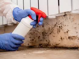 Best Comprehensive Air Testing for Mold Contaminants in Culver City, CA